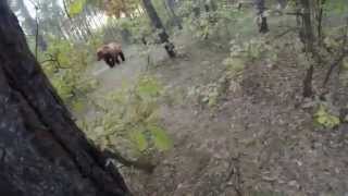 Man chased by a bear through the woods on a mountain bike 3 Peaks Cycles [upl. by Treat]