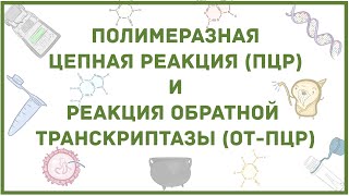 ПЦР  диагностика вирусной инфекции коронавируса  наглядное объяснение метода [upl. by Annayram]