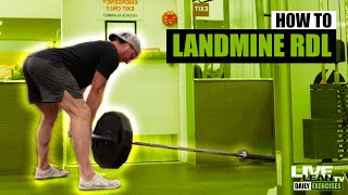 How To Do A LANDMINE ROMANIAN DEADLIFT RDL  Exercise Demonstration Video and Guide [upl. by Accem53]