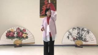 Daoyin Yang Sheng Gong 12 Method  Health Qigong [upl. by Royall718]