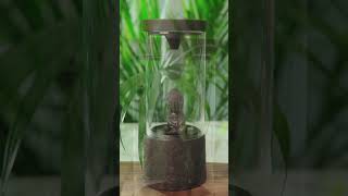 Backflow Incense meditation relaxing healing [upl. by Mehelhteb]