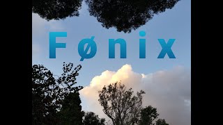 Annbjørg Lien  FøNix Phoenix [upl. by Einuj]