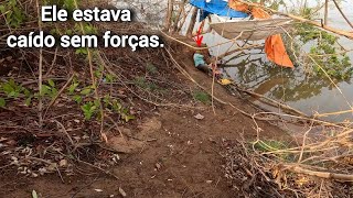 ACIDENTE ACONTECEU COM ELE NA BEIRA DO BARRANCO  tentei ajudarpescaria [upl. by Felipe]