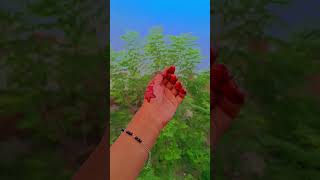 Hand dance statuslove hriday viralshort [upl. by Riay]