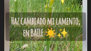 Has cambiado mi lamento en BAILE ☀️✨ Salmos 30 amor bendiciones graciasdios buenosdias nature [upl. by Marion]