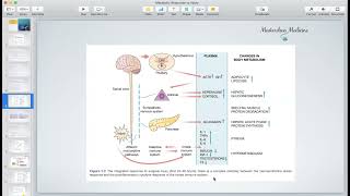 Metabolic Response to Injury  General Surgery Course 3rd Stage [upl. by Narual]