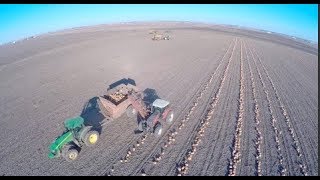 Harvesting Pumpkins in Central Illinois  November 2017 [upl. by Rodriguez]