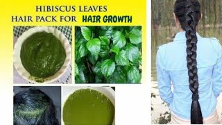 Hair Growth With Hibiscus Leaves amp Stop Hair Loss hairgrowth 2024 [upl. by Itnuahsa229]