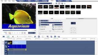 Ulead VideoStudio Video Tutorial  Titling Technique [upl. by Par585]