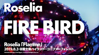 【公式ライブ映像】Roselia「FIRE BIRD」【期間限定】 [upl. by Sherj]