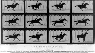 The Weird World of Eadweard Muybridge [upl. by Bozuwa]