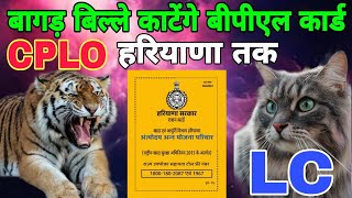 BPL RATION CARD HARYANA 11 नए अंधे कानून जारी। [upl. by Deraj]