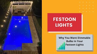 Festoon Lighting Why You Want Dimmable LED Bulbs [upl. by Burwell]