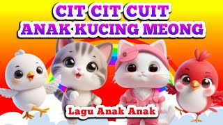 CIT CIT CUIT  ANAK KUCING MEONG MEONG  Lagu Anak Anak  Lagu Anak Balita  Nine Kids [upl. by Lander]