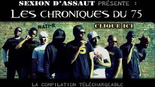 Sexion Dassaut  Les Chroniques Du 75  2008 MIXTAPE [upl. by Gnik]