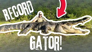 RECORD GATOR  Florida Alligator Hunting  Biggest Gator Harvest Ever Captured On Film [upl. by Lad433]