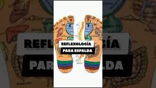 REFLEXOLOGIA PARA LA ESPALDA [upl. by Pietrek]