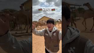 travel kenyatourism kenyatotheworld africa food [upl. by Ynahpit534]