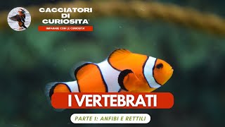 I VERTEBRATI Prima parte  Pesci e Rettili per la scuola primaria [upl. by Lindie]