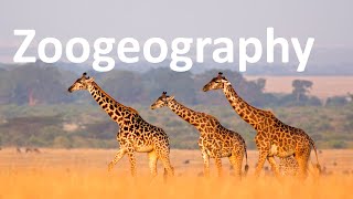 Zoogeography [upl. by Jocelin]