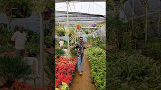 Garden world garden gardenworld nellore viralreels viralshort views nature plants funny [upl. by Atiana]