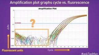 Baselines in RealTime PCR  Ask TaqMan® Ep 5 [upl. by Curran264]