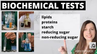 Alevel BIOCHEMICAL TESTS test for starch reducing sugars nonreducing sugars proteins lipids [upl. by Eignat]