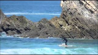 Ce chien est las du surf  il fréquente la côte des Basques à Biarritz [upl. by Iaw470]