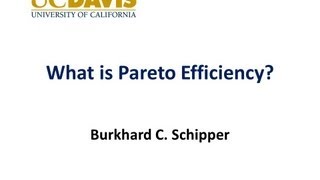 Pareto Efficiency [upl. by Ravert311]