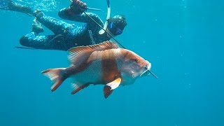 Spearfishing Western Australia Its a Life Style [upl. by Uzial465]