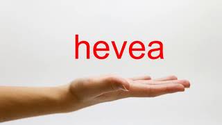 How to Pronounce hevea  American English [upl. by Sev]