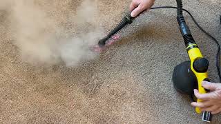 Steamify removing Mystery Carpet Stains before the Cleaning Process [upl. by Millda]