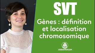 Les gènes  définition et localisation chromosomique  SVT  Collège  Les Bons Profs [upl. by Vallonia]