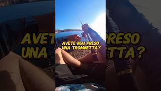 Avete mai preso una trombetta🎺🐟spinningfishing fishing pescainmare [upl. by Ahcirt]