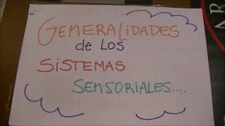 Generalidades de los sistemas sensoriales [upl. by Weinberg]