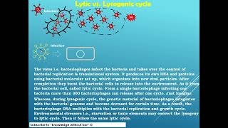 Lytic vs lysogenic cycle microbiology educationalvideo [upl. by Penrod]