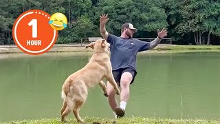 FUNNIEST Pets of 2024So Far 😂  BEST Compilation [upl. by Natanhoj]