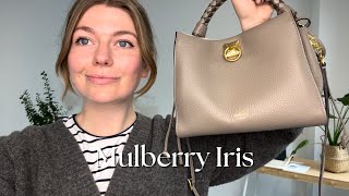 Mulberry Iris Review [upl. by Schaaff851]