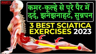 3 Best SCIATICA Pain Relief Exercises  Back Pain 2023 [upl. by Barnes]