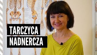 Czym jest potrójny ogrzewacz  TARCZYCA i NADNERCZA [upl. by Cantu]