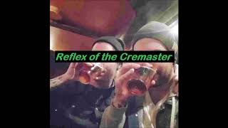 Reflex of the Cremaster  Mennään Karjalaan Sleepy Sleepers cover [upl. by Oramug]