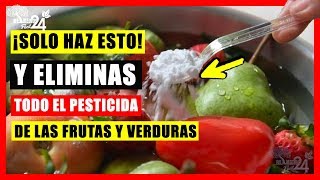 MIRA COMO LIMPIAR LAS FRUTAS Y VERDURAS DE PESTICIDAS ➜ Conoce este Truco Casero [upl. by Rog508]