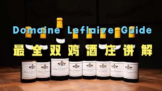 最全双鸡酒庄讲解 Domaine Leflaive Guide [upl. by Nanon]