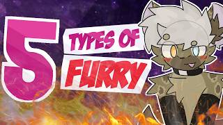 THE FIVE TYPES OF FURRY [upl. by Yer]