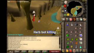 3njoylumby Bot killing  Antiluring  Barrows OSRS [upl. by Otrebireh]