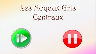 Neurofacile 7  Les noyaux gris centraux [upl. by Iong]