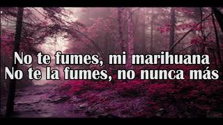 No te fumes mi marihuana  Mon Laferte Letra [upl. by Anivek160]