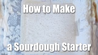 How To Make A Sourdough Starter  Video Recipe [upl. by Zinn]