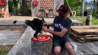 Crow Buddies Latest ‘Axeperience’ for Barrington lumberjack [upl. by Ahsienot737]