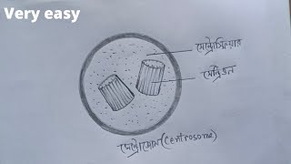 How to draw centrosome  Simple amp Easy  Draw centrosome [upl. by Anitnatsnoc]